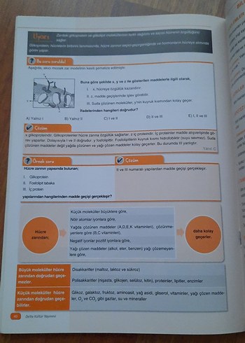 Beden Renk 9. Sınıf Biyoloji Özet Kitabı
