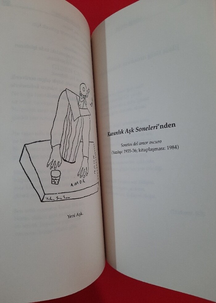 Karanlık Manolya - Federico G. Lorca - Görsel 5