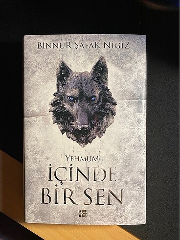 Kitap: İçinde Bir Sen Yehmum - Binnur Şafak Nigiz Dokuz Yayınla
