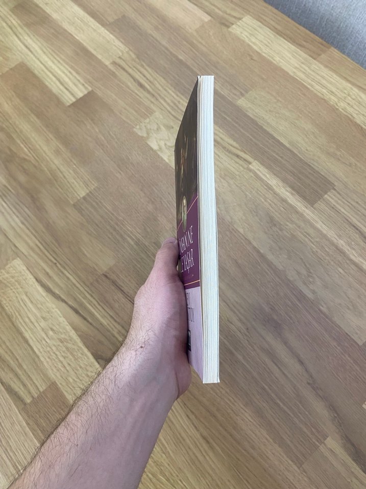 Dünya klasikleri kitabı Tolstoy - Görsel 4