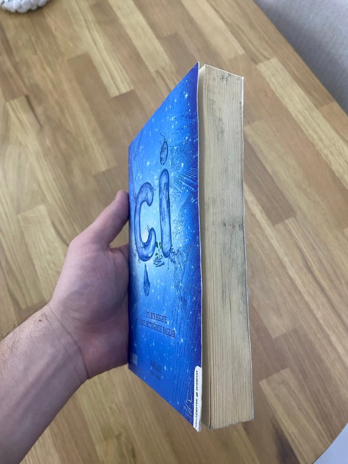 Akila Çi Kitabı - Görsel 4