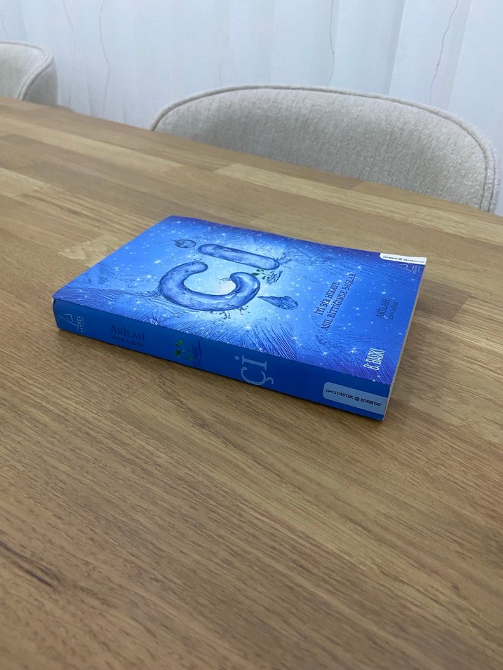 Akila Çi Kitabı - Görsel 3