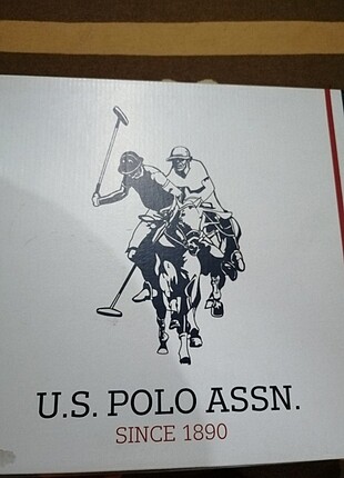 Polo bot