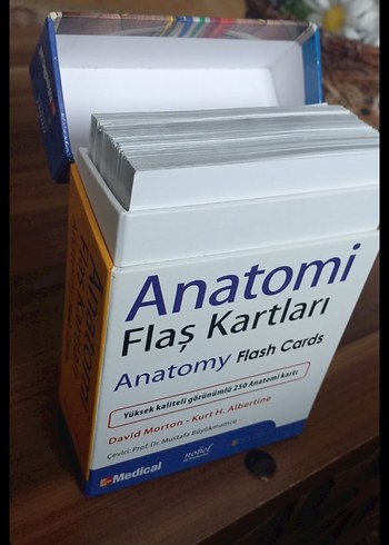 Anatomi Flaş Kartları - David Morton