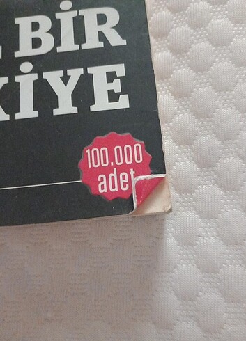 nasil bir turkiye