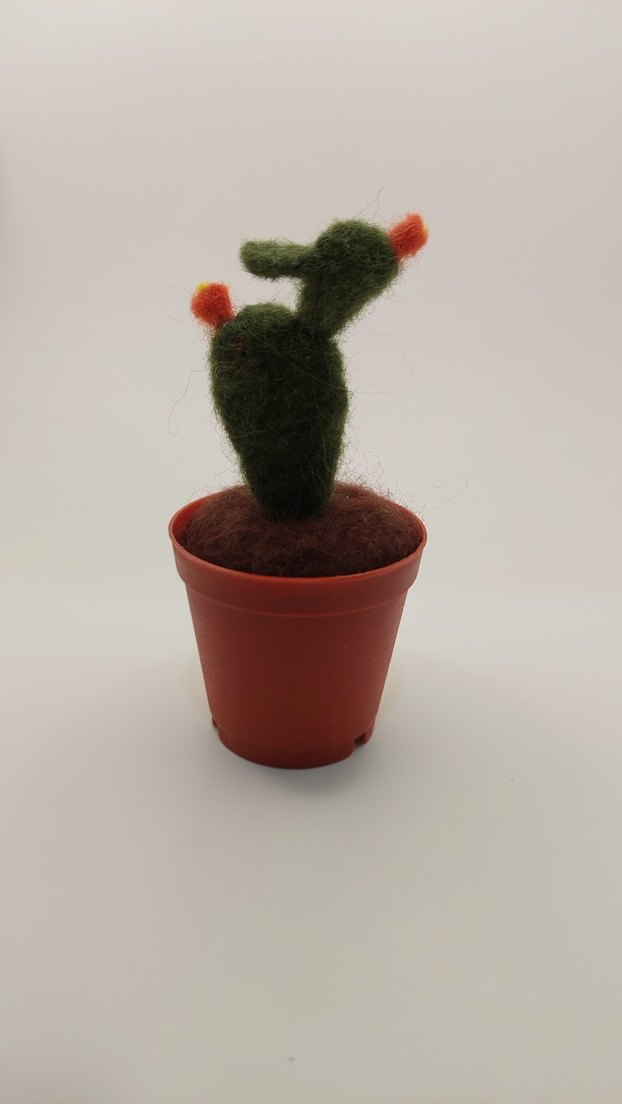 Bohem Tarzda Keçe Kaktüs Seti - Görsel 4