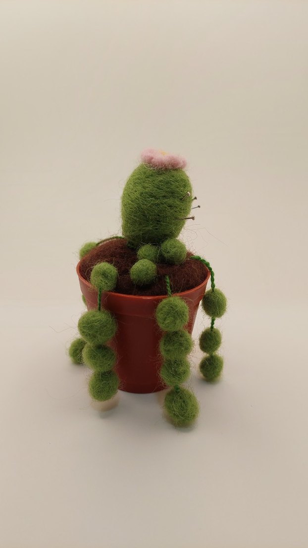 Bohem Tarzda Keçe Kaktüs Seti - Görsel 2