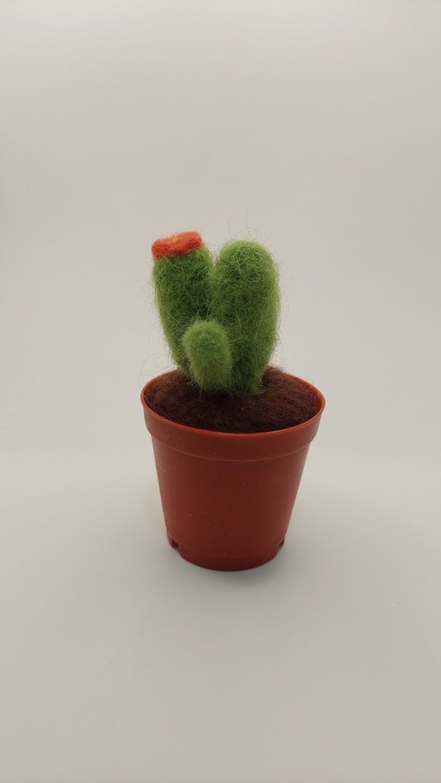 Bohem Tarzda Keçe Kaktüs Seti - Görsel 3