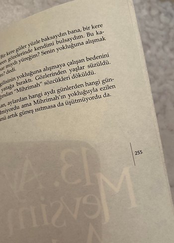 İki Cami Arasında Aşk - Mihrimah ile Sinan - Görsel 4