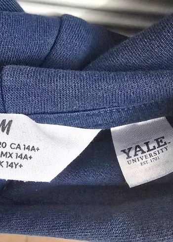 Kapüşonlu Mavi Yale Baskılı Sweatshirt - Görsel 3