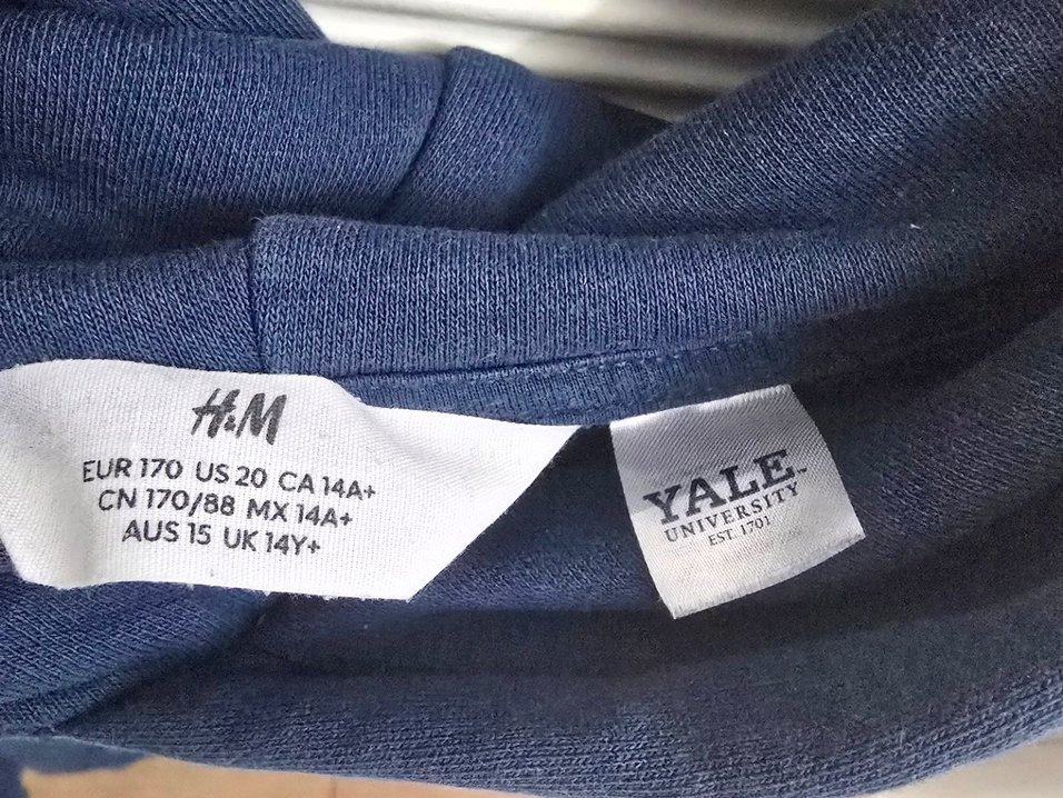 Kapüşonlu Mavi Yale Baskılı Sweatshirt - Görsel 3