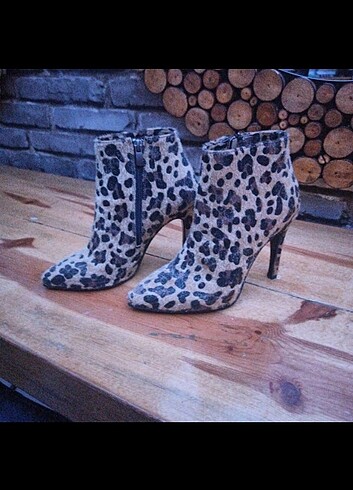 37 Beden Leoparli bot