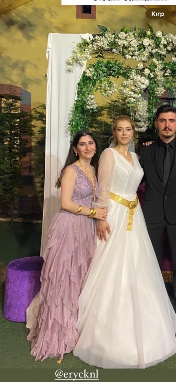 Pudra Pileli V Yaka Uzun Abiye Elbise - Görsel 3