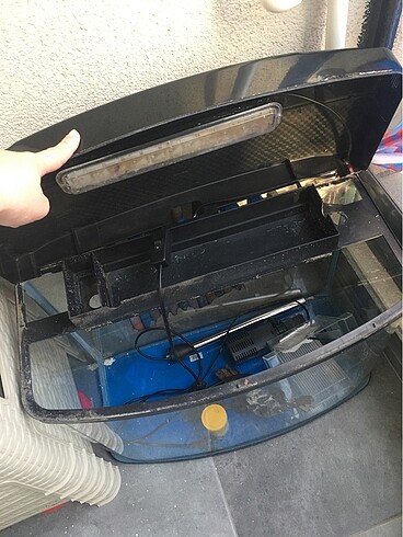 Akvaryum - Görsel 2