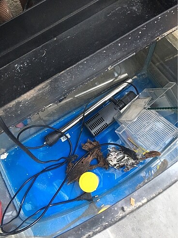 Akvaryum - Görsel 3