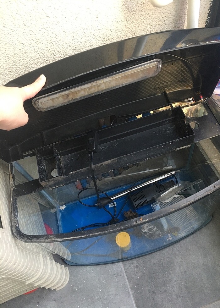 Akvaryum - Görsel 2