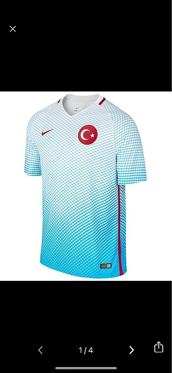Milli Takım