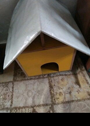 Kedi evi