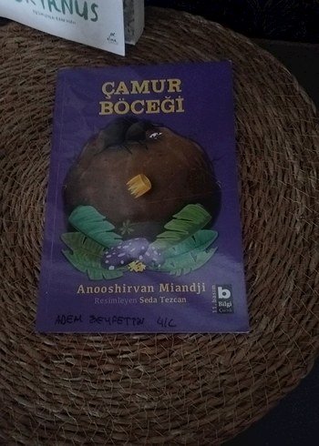 Sırtımdaki Okyanus ve Çamur Böceği Kitapları