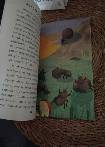 Beden Renk Sırtımdaki Okyanus ve Çamur Böceği Kitapları