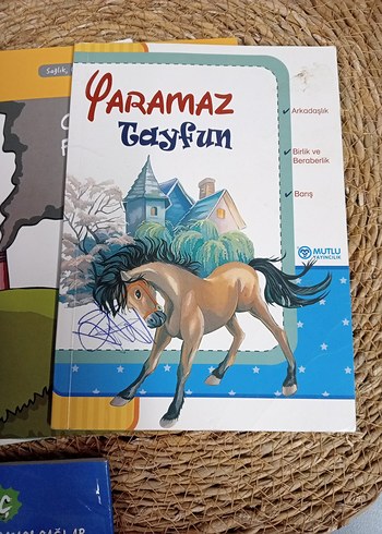 Çocuklar için GAG Kitap Seti - Görsel 3