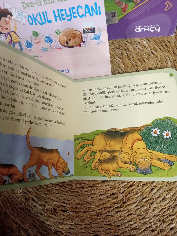 Çocuklar için Eğitici ve Eğlenceli Kitap Seti - Görsel 2