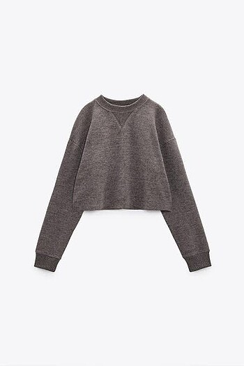 Zara Crop Sweatshirt
