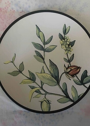 Beden Keramika Çiçek Bahçesi Desenli 6 Adet Servis Tabaği 25 Cm