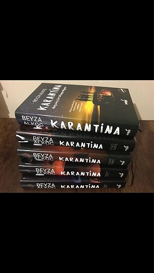 Beyza Alkoç-karantina