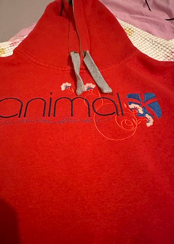 38 Beden kırmızı Renk Kırmızı Kapüşonlu Kadın Sweatshirt