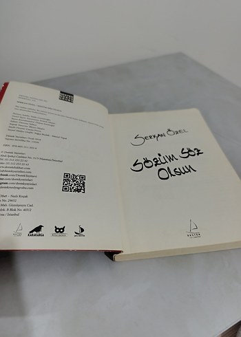 Serkan Özel - Sözüm Söz Olsun - Görsel 2