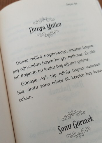 Gerçek Aşk - Mevlana - Görsel 2