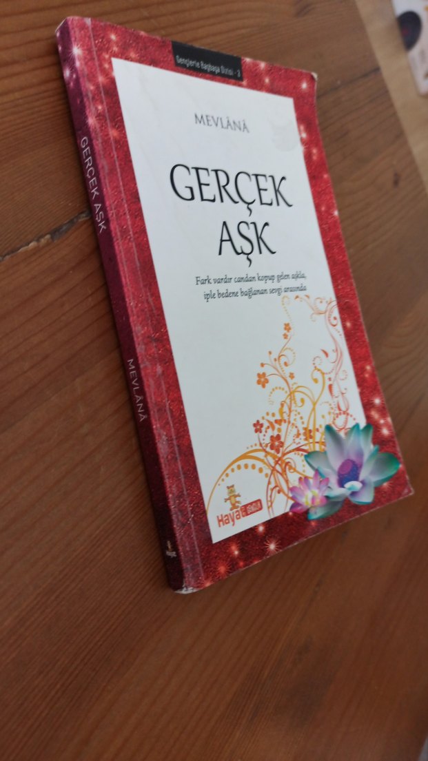 Gerçek Aşk - Mevlana - Görsel 4