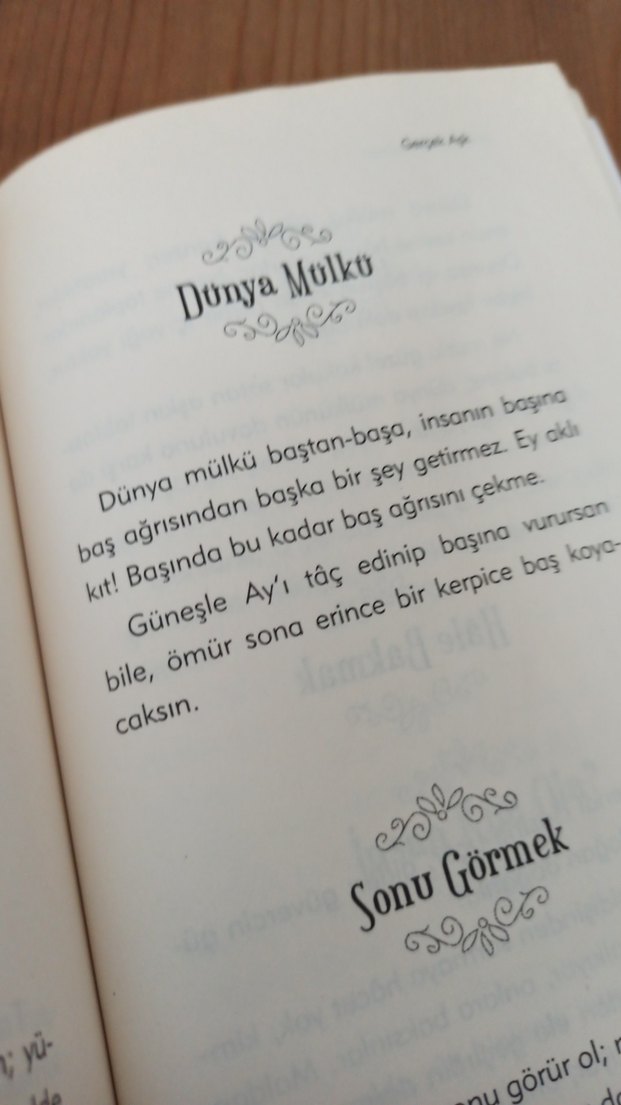 Gerçek Aşk - Mevlana - Görsel 2