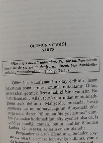  Beden Renk Sitresin manevi reçetesi