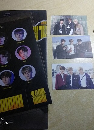 Skz yellow wood 