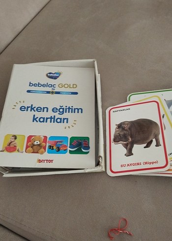 Diğer Çok Renkli Eğitim Kartları