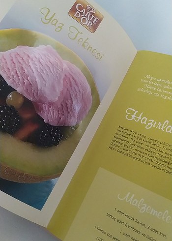 Carte d'Or Mevsimleri Sanat Kitabı - Görsel 5