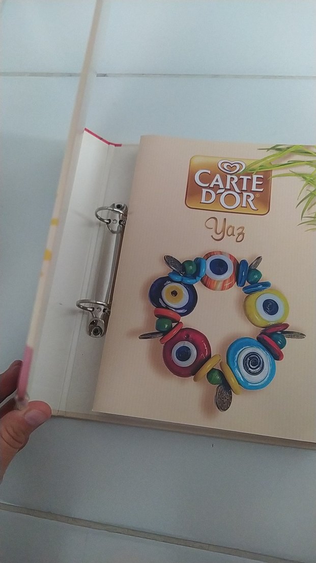 Carte d'Or Mevsimleri Sanat Kitabı - Görsel 2