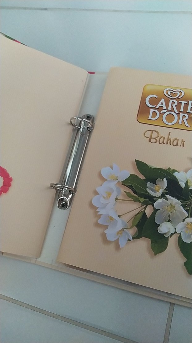 Carte d'Or Mevsimleri Sanat Kitabı - Görsel 3