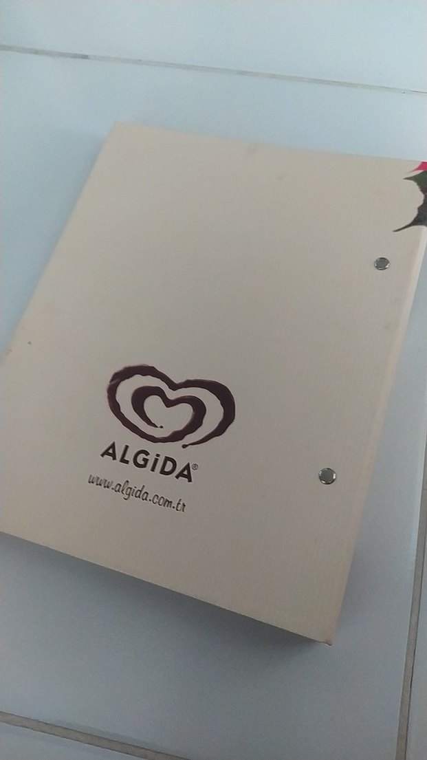 Carte d'Or Mevsimleri Sanat Kitabı - Görsel 4