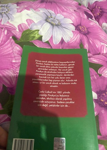 Pinokyo - Orijinal Dilden Çeviri - Görsel 2