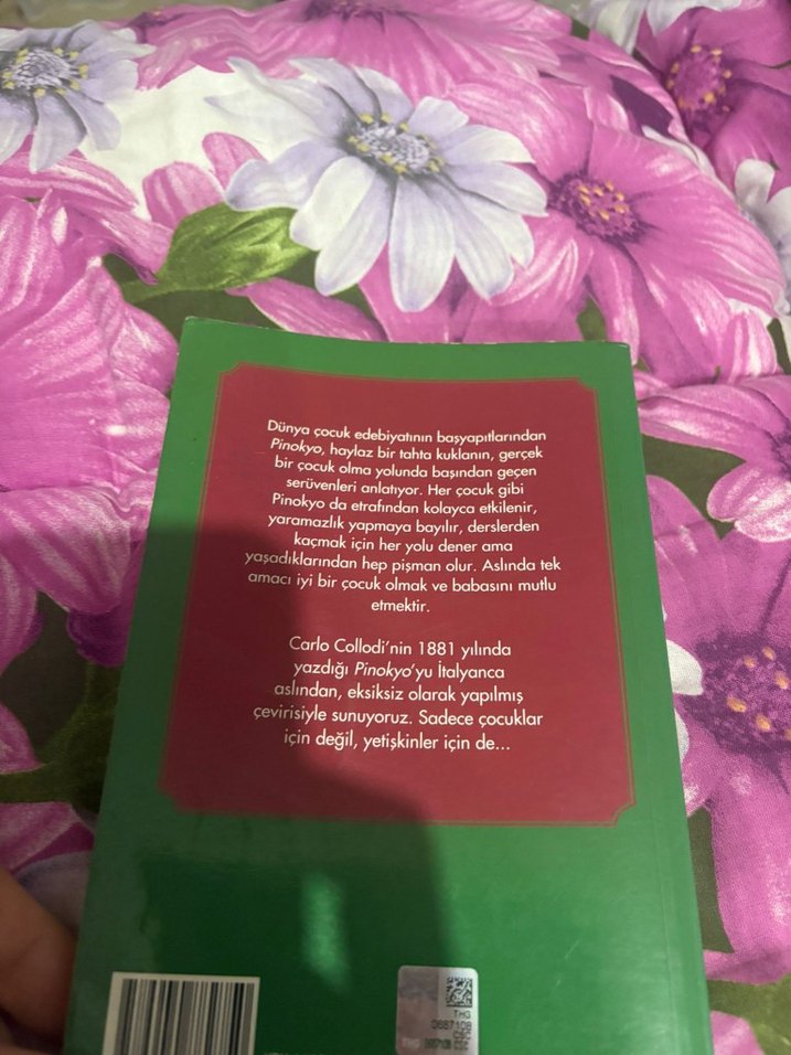 Pinokyo - Orijinal Dilden Çeviri - Görsel 2