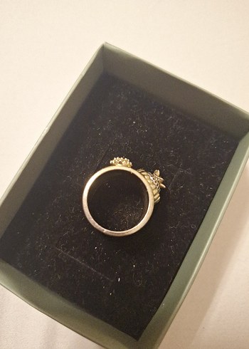 Altın Renkli Pul Detaylı Yılan Desenli Yüzük - Görsel 6