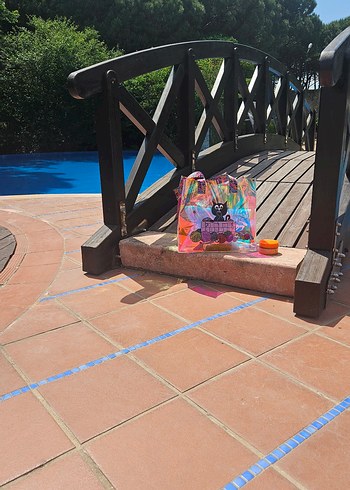 Renkli Saplı Şeffaf Kedi Desenli Kol Çantası - Görsel 12