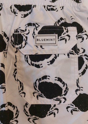 bluemınt deniz şortu - Görsel 5