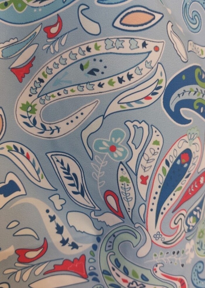 Deniz şortu - Görsel 3