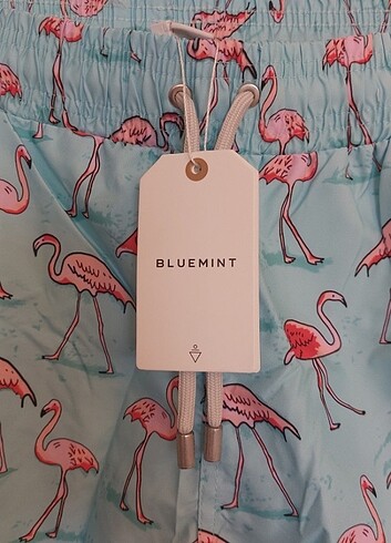 Deniz şortu - Görsel 2