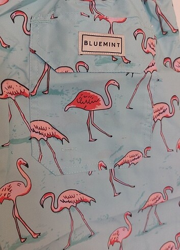 Deniz şortu - Görsel 5