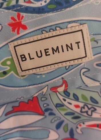 Bluemınt deniz şortu - Görsel 5